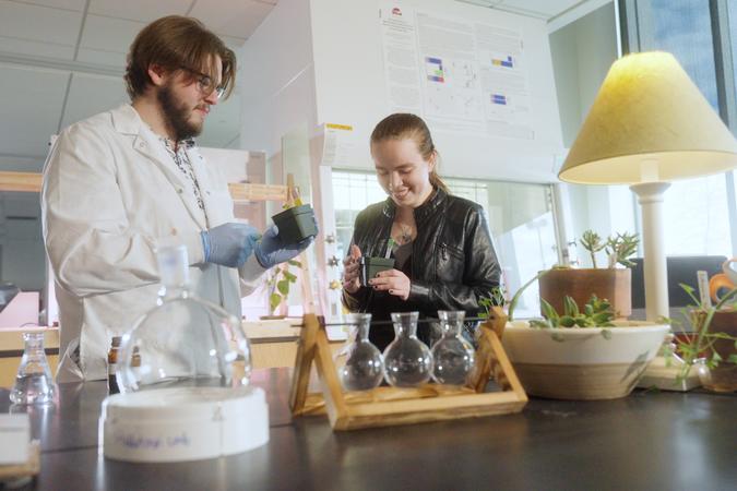 two people looking at plants in a lab
